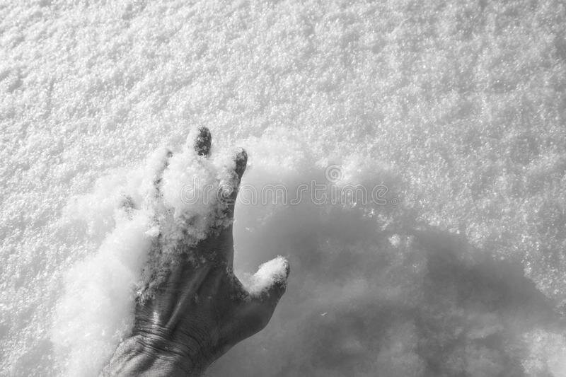 Фото позаимствовано в открытом доступе в сети Интернет.