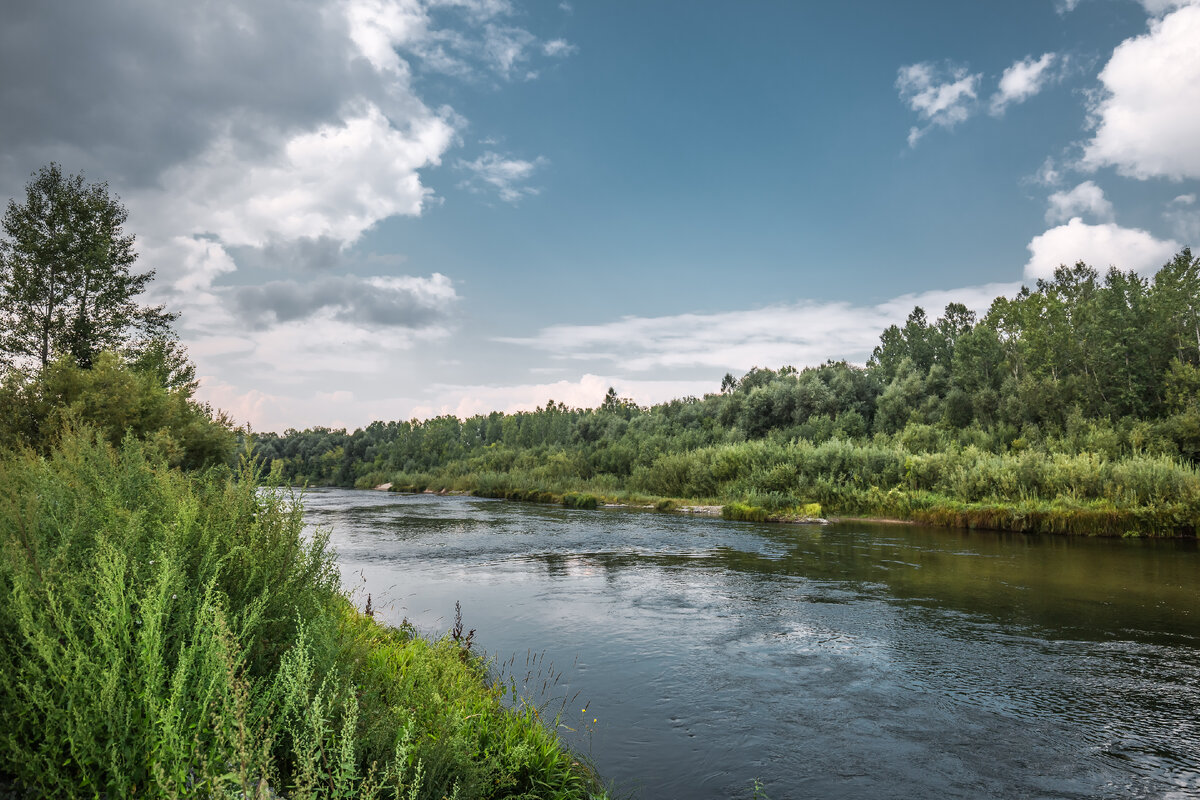 Река Бердь рыбалка