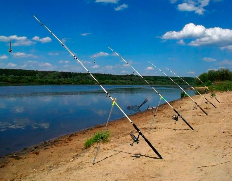 Место где можно рыбачить. Донка. Удочка донка. Удочки на берегу.