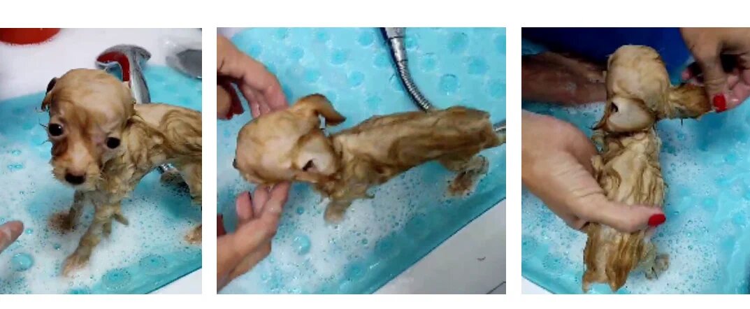 Водные процедуры