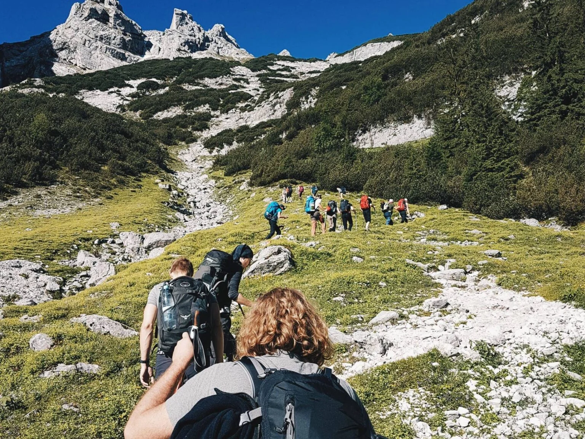 Прогулки гуськом по узким тропинкам защищают местную флору