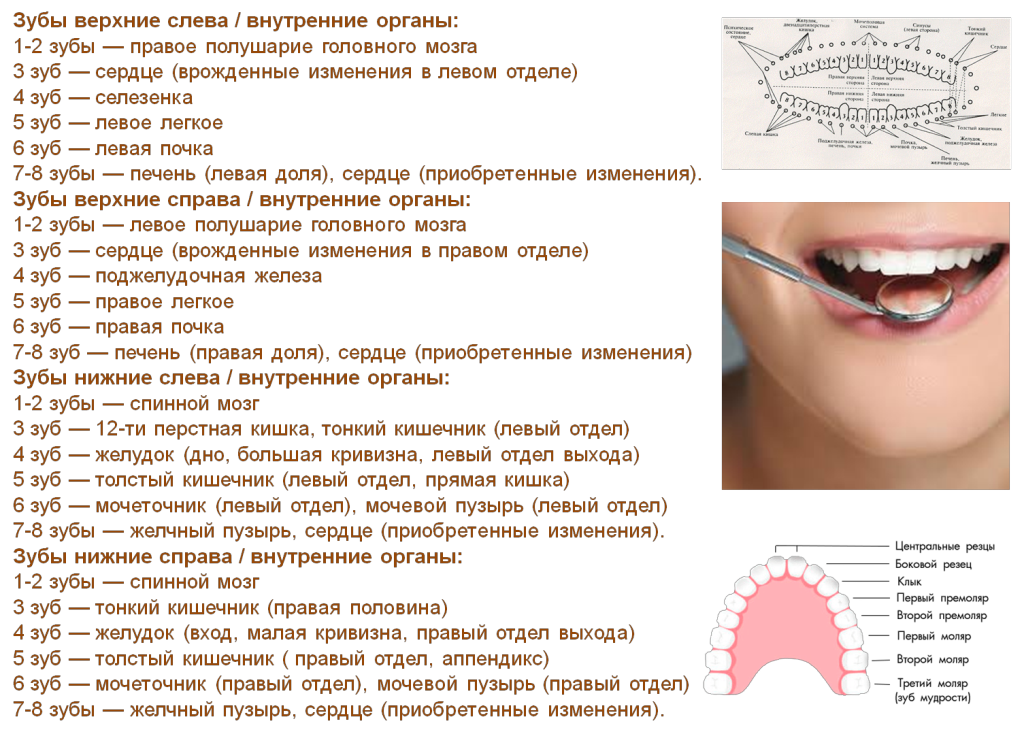 Здоровые зубы и их влияние на весь организм