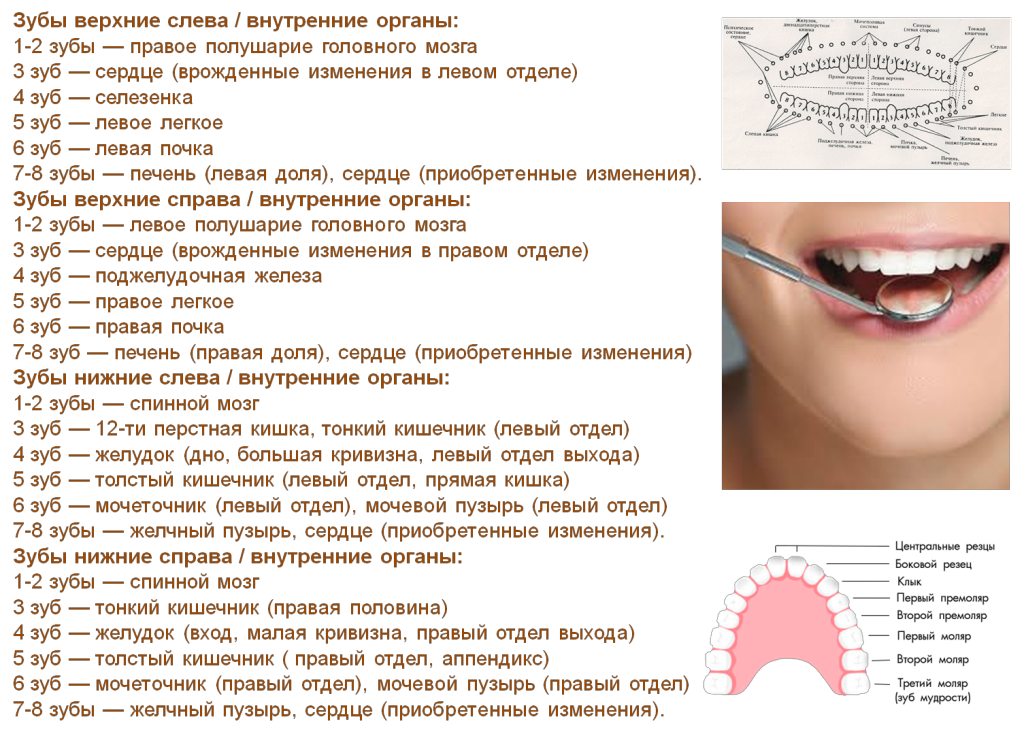 Психосоматика каждого зуба. Зубы значение каждого. Зубы по психосоматике.