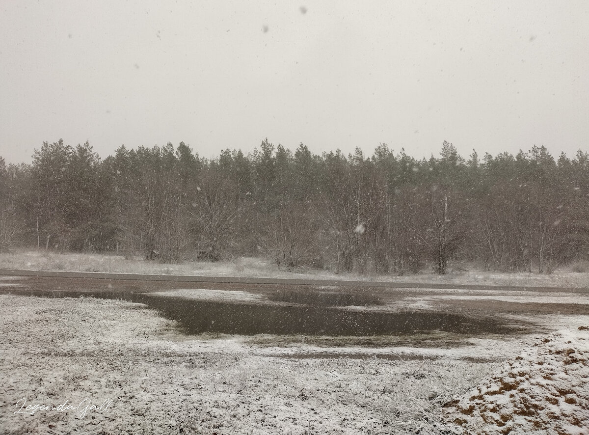 Это к забору подошла