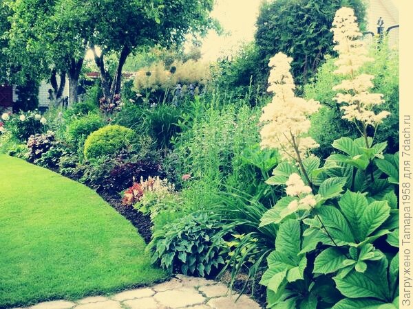 Фото из интернета. 