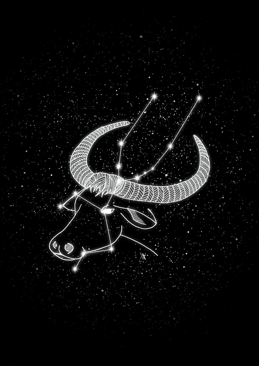 Изображение взято из свободного источника