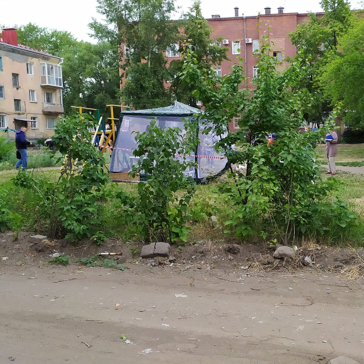 Палатка голосования и деревья