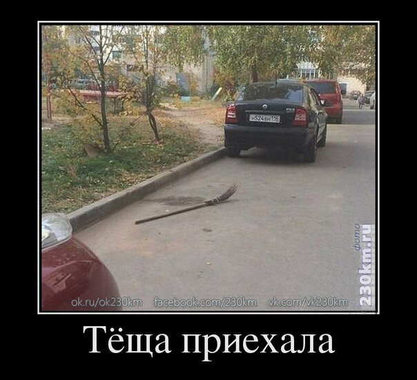 Эх зять, ну что с тебя взять!