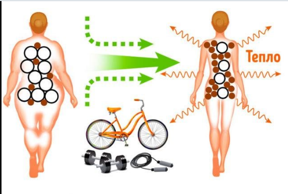 взято из интернета