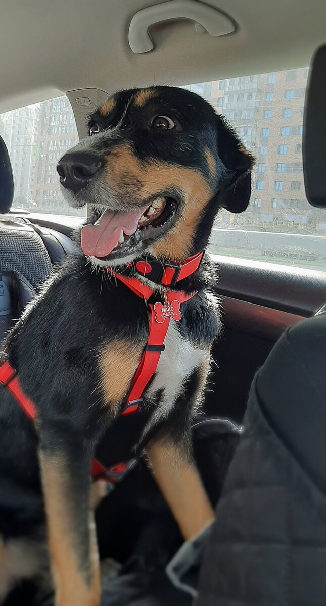 фото из личного архива