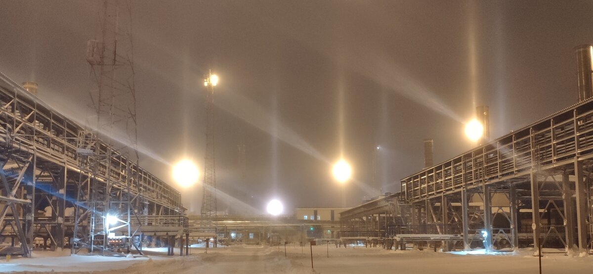 Туман обеспечивает влагу