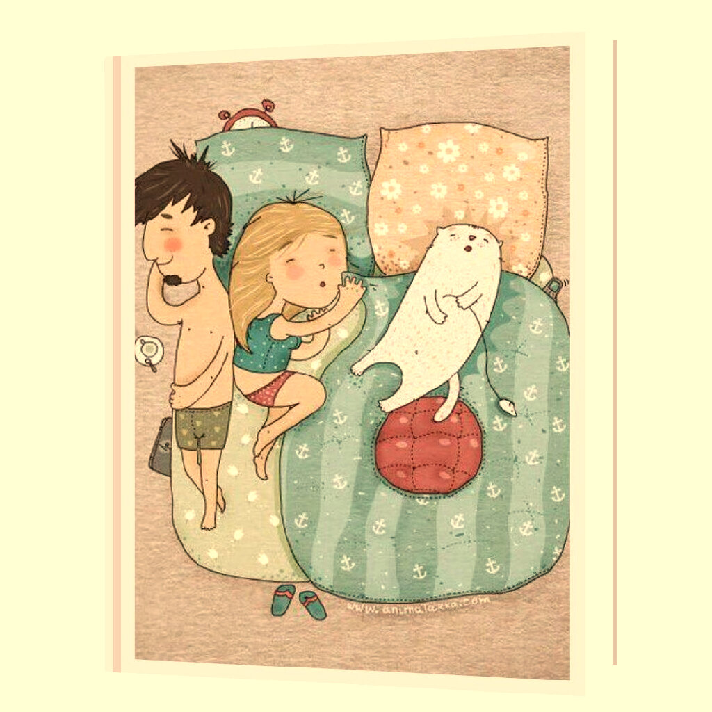 Отвоевал территорию