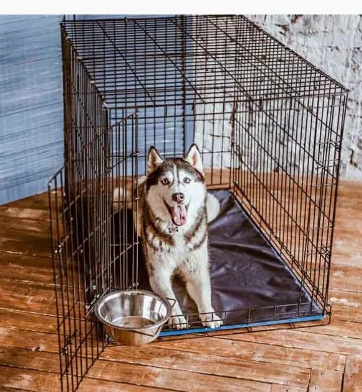 Вот такая у нас, пятерка, с держателем миски