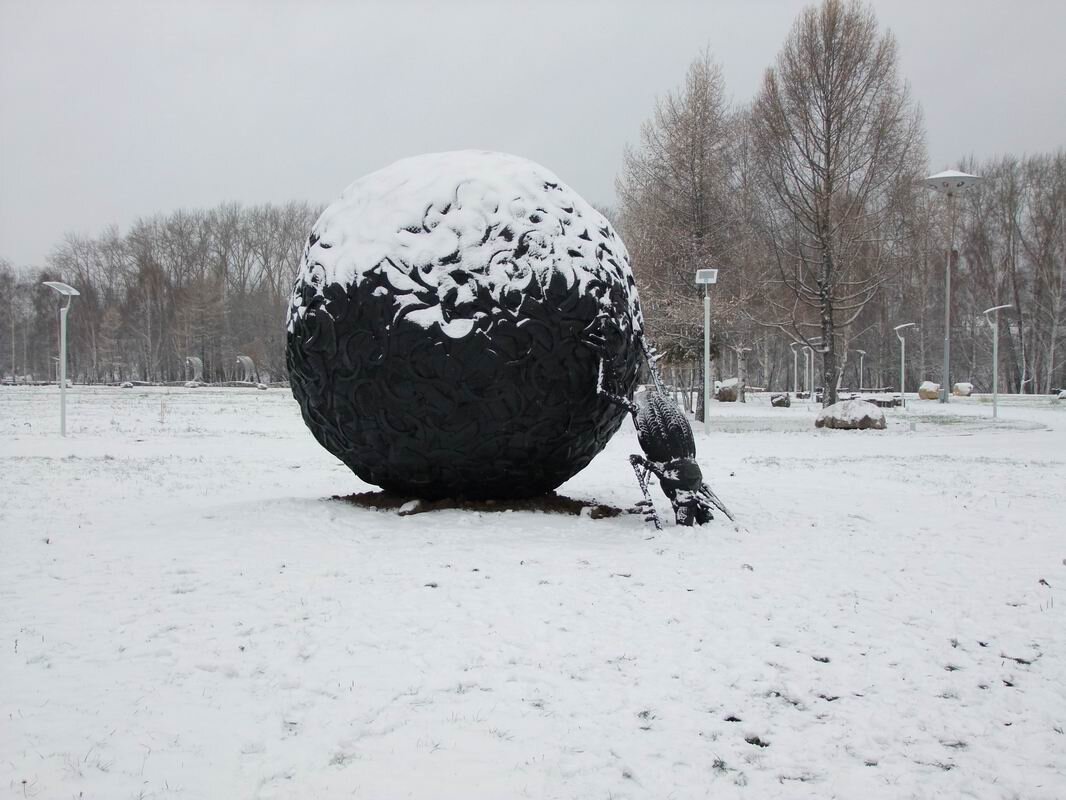 Жук скарабей в снегу