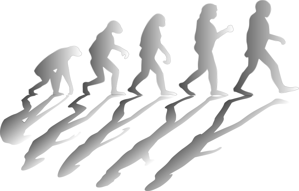 pixabay.com