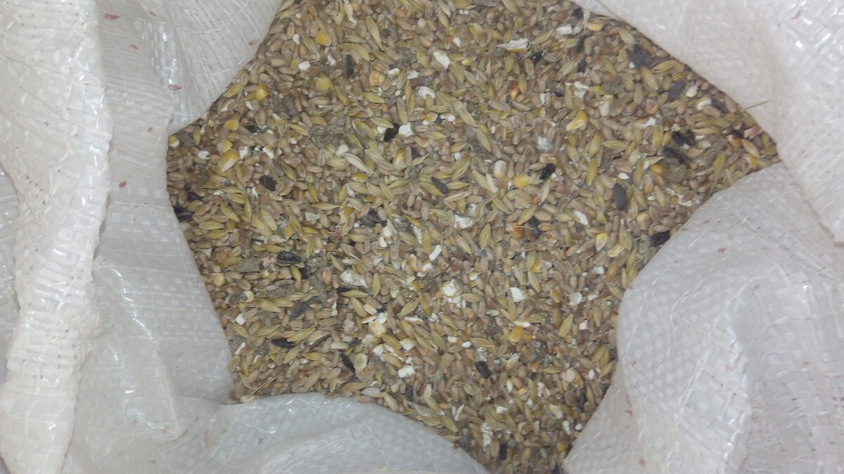 Зерносмесь для полноценн кормления кур