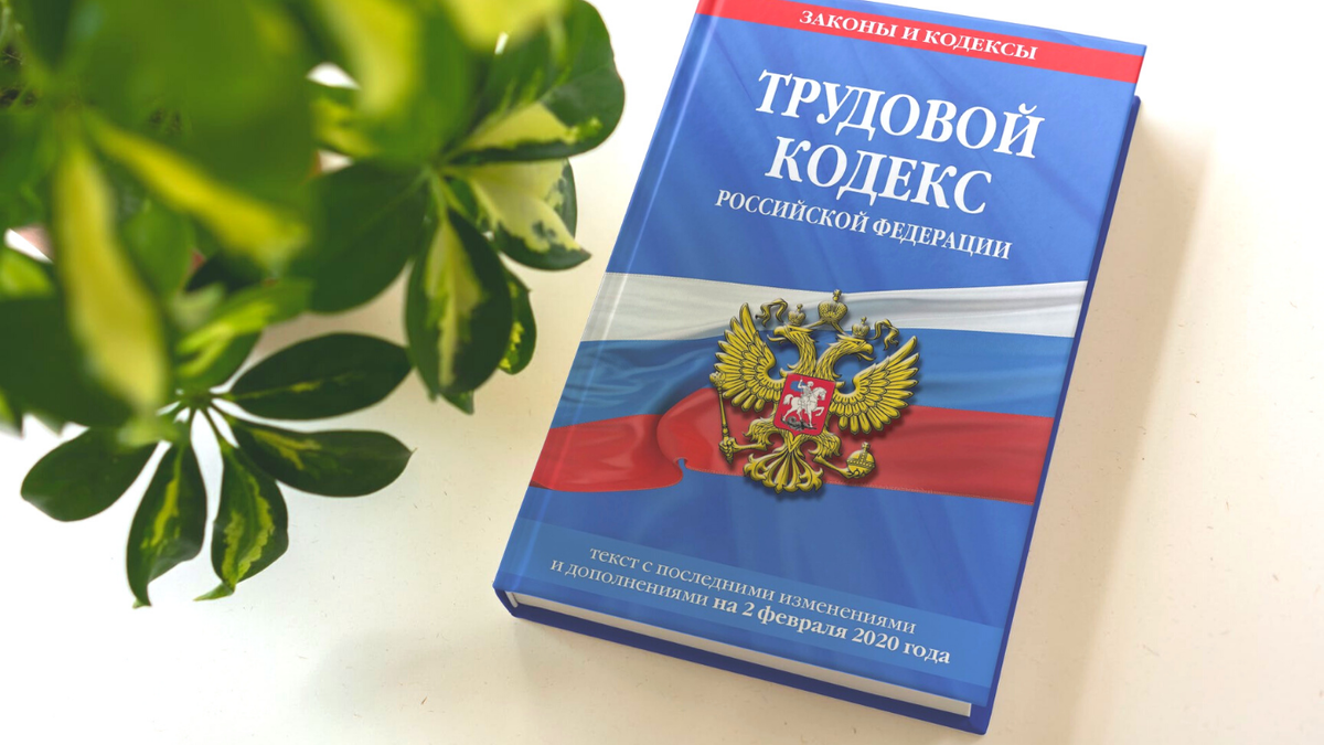 Работа с несовершеннолетними: когда это выгодно | LT-Consult. Развитие  вашего бизнеса | Дзен