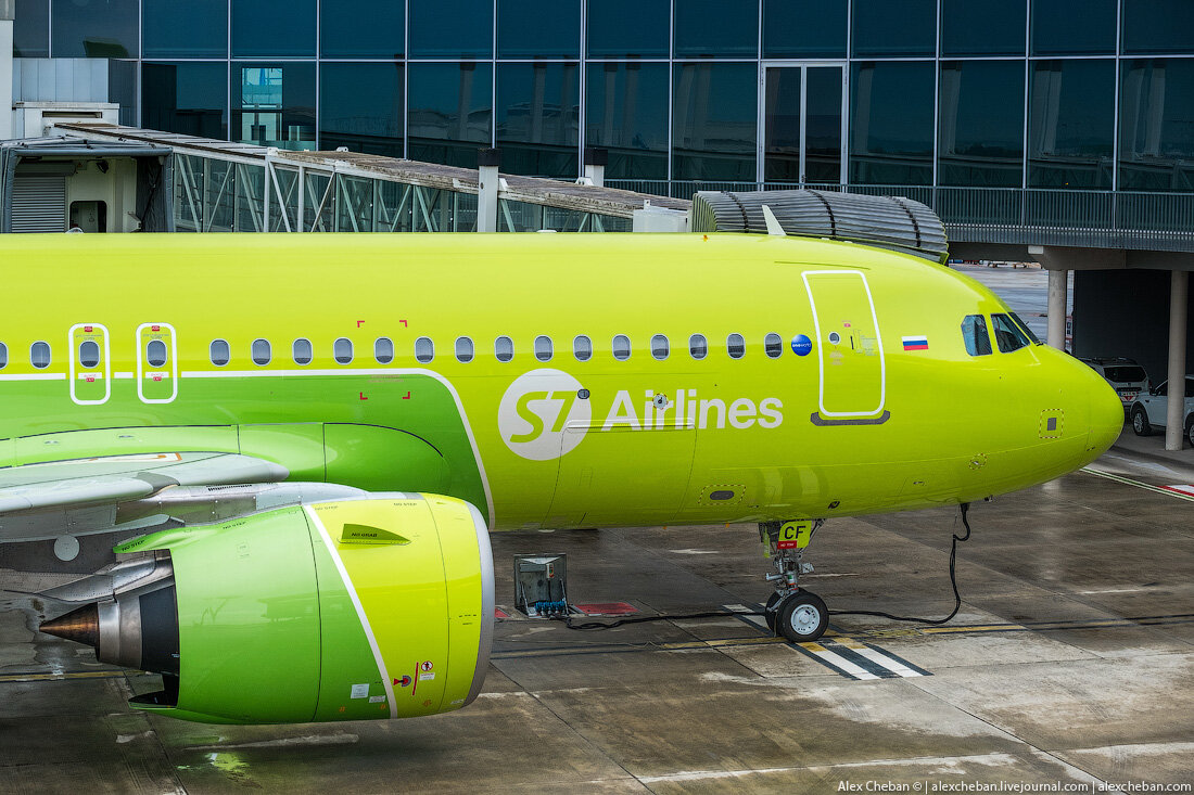 S7 2602. Самолёты авиакомпании s7 airlines. Самолёты авиакомпании s7 airlines. Самолёт аэробус а320. Airbus a320 s7 домодедово.