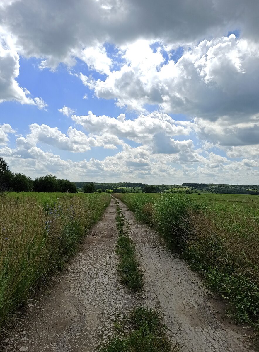 Дорога в село Высокое