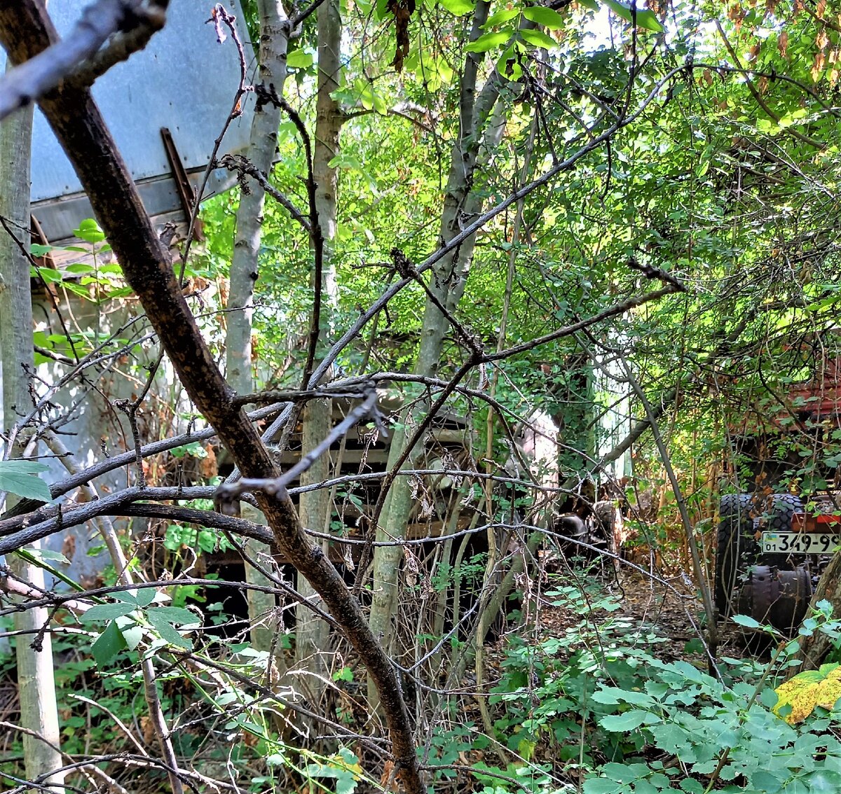 ЗИЛ-130 с двигателем ЯМЗ-236 и импортным задним мостом созданный для ...