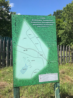 Голицынский дендрарий