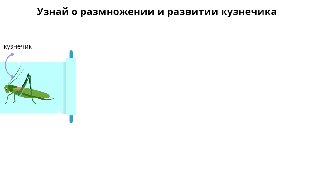 Ну давайте!