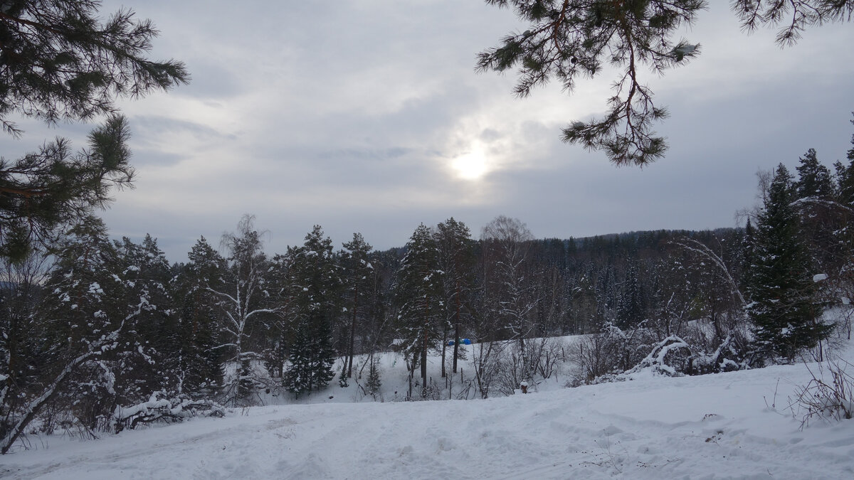 Глас божий.