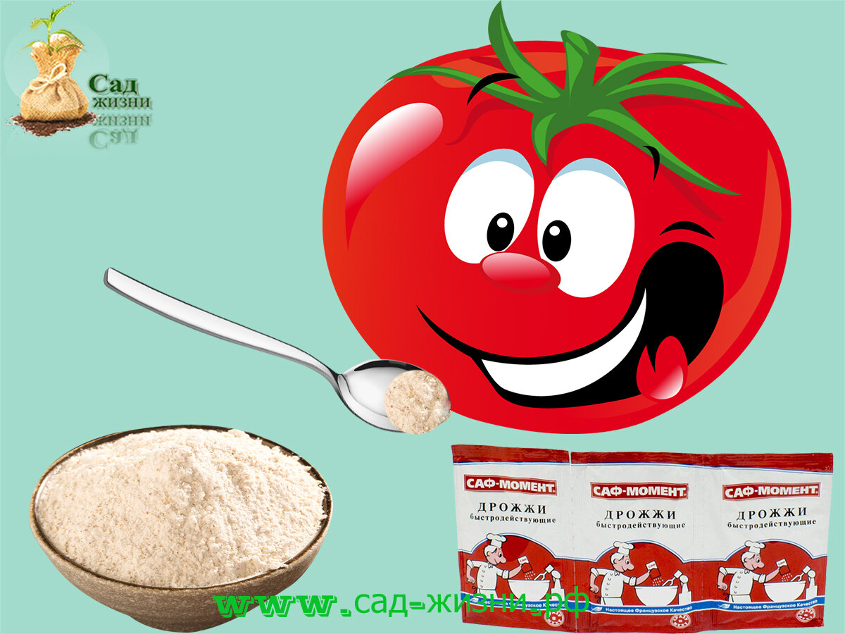 Миф о пользе дрожжевой подкормки для растений