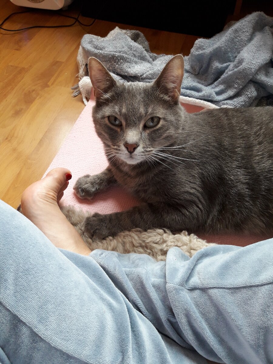 Фото автора