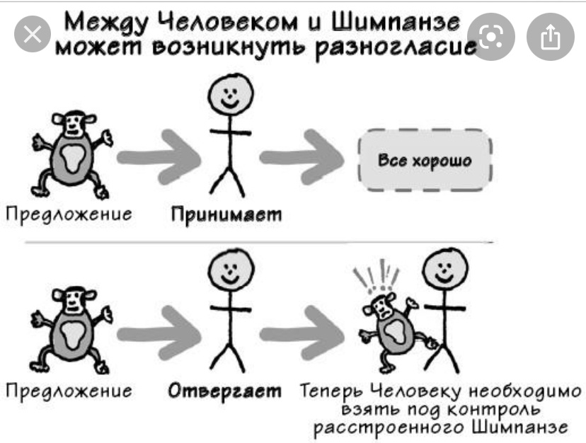 Фрагмент из книги.
