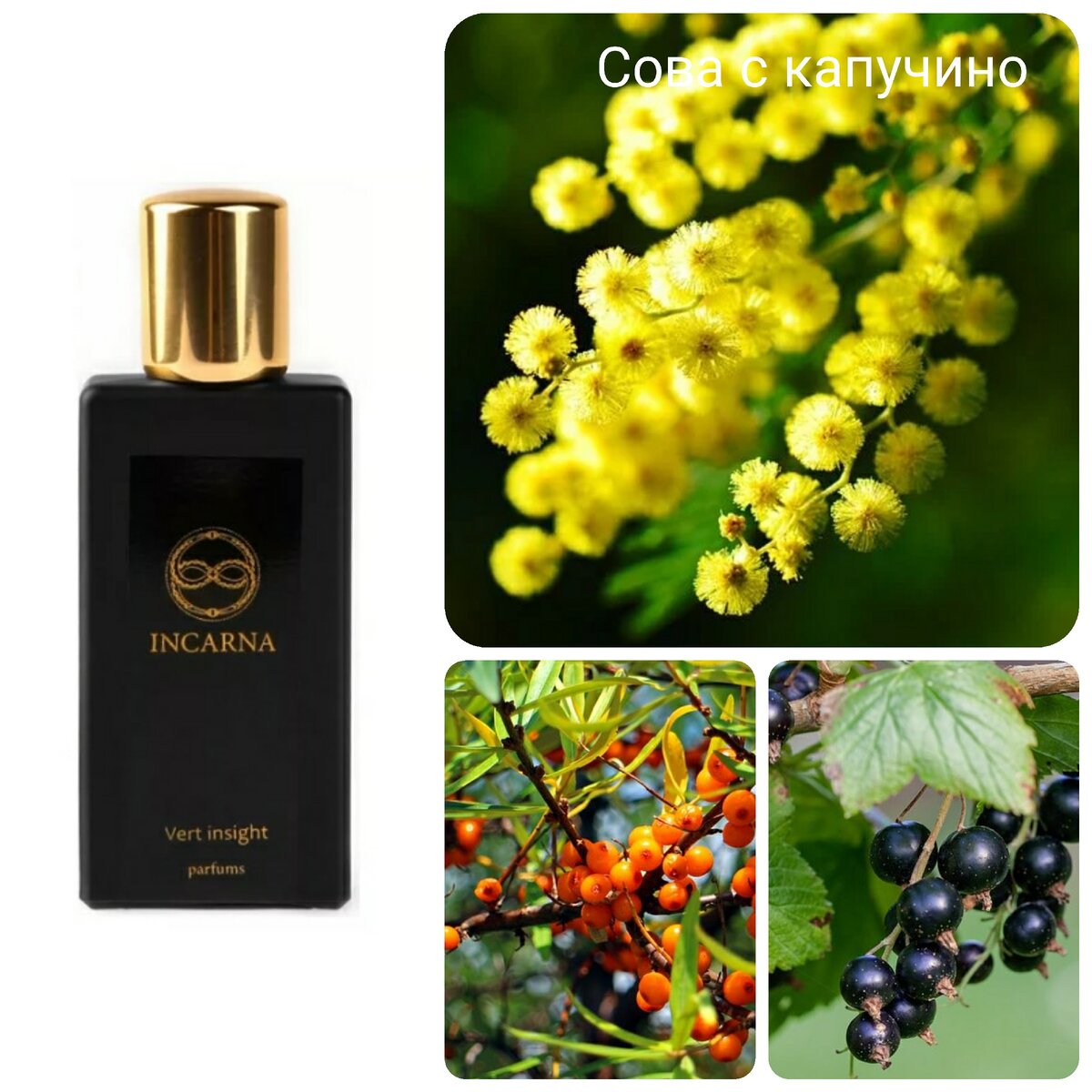 Vert insight incarna parfums. Витковская парфюмер. Туалетная вода insight. Incarna alva parfums купить. Парфюм y612.