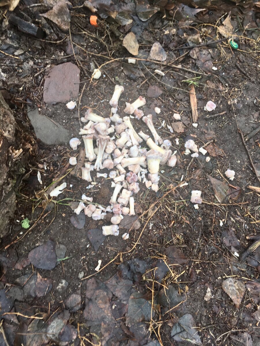 У нашего дома подарок к 1 января