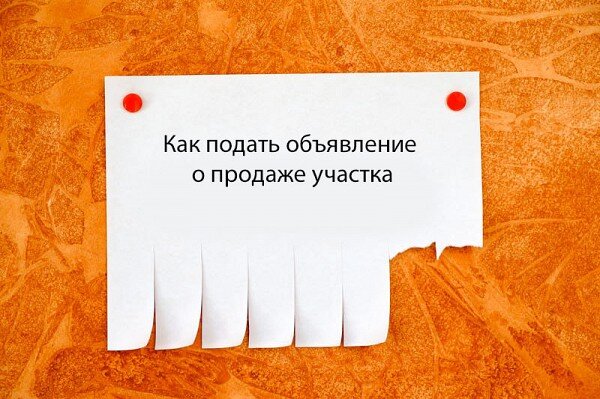 объявление о продаже земельного участка образец. разместить объявление о продаже дома. как разместить платное объявление на авито. разместить объявление на авито. подать объявление о продаже участка.
