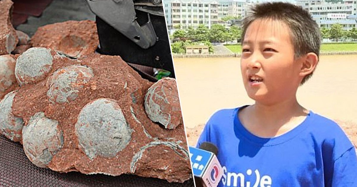 мальчик находит яйцо