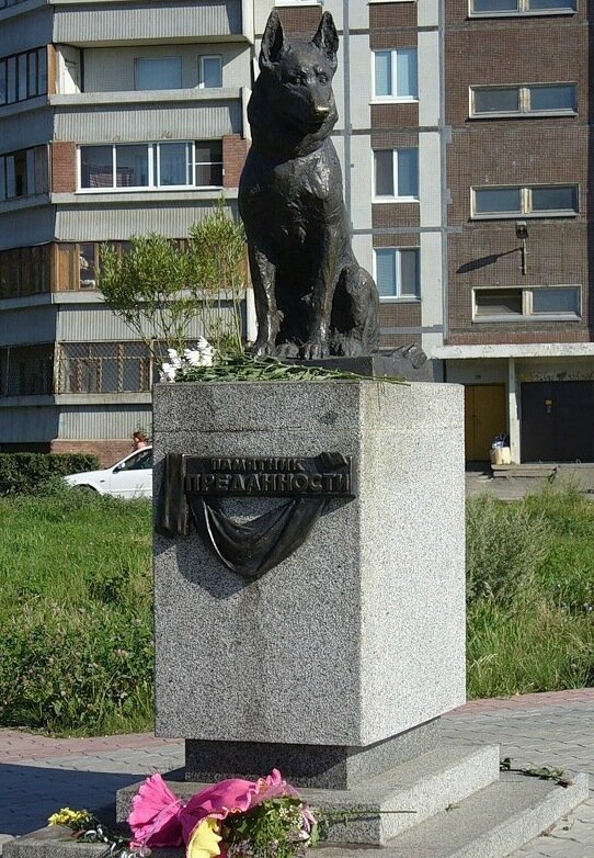 Памятник Преданности(Яндекскартинки)