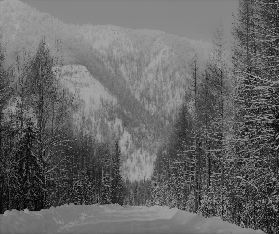 Живописный зимний лесной пейзаж на Колымском шоссе (Дорога костей). Автор: Lina Shatalova. Фото с сайта: canva.com/photos. Лицензия One Design Use.