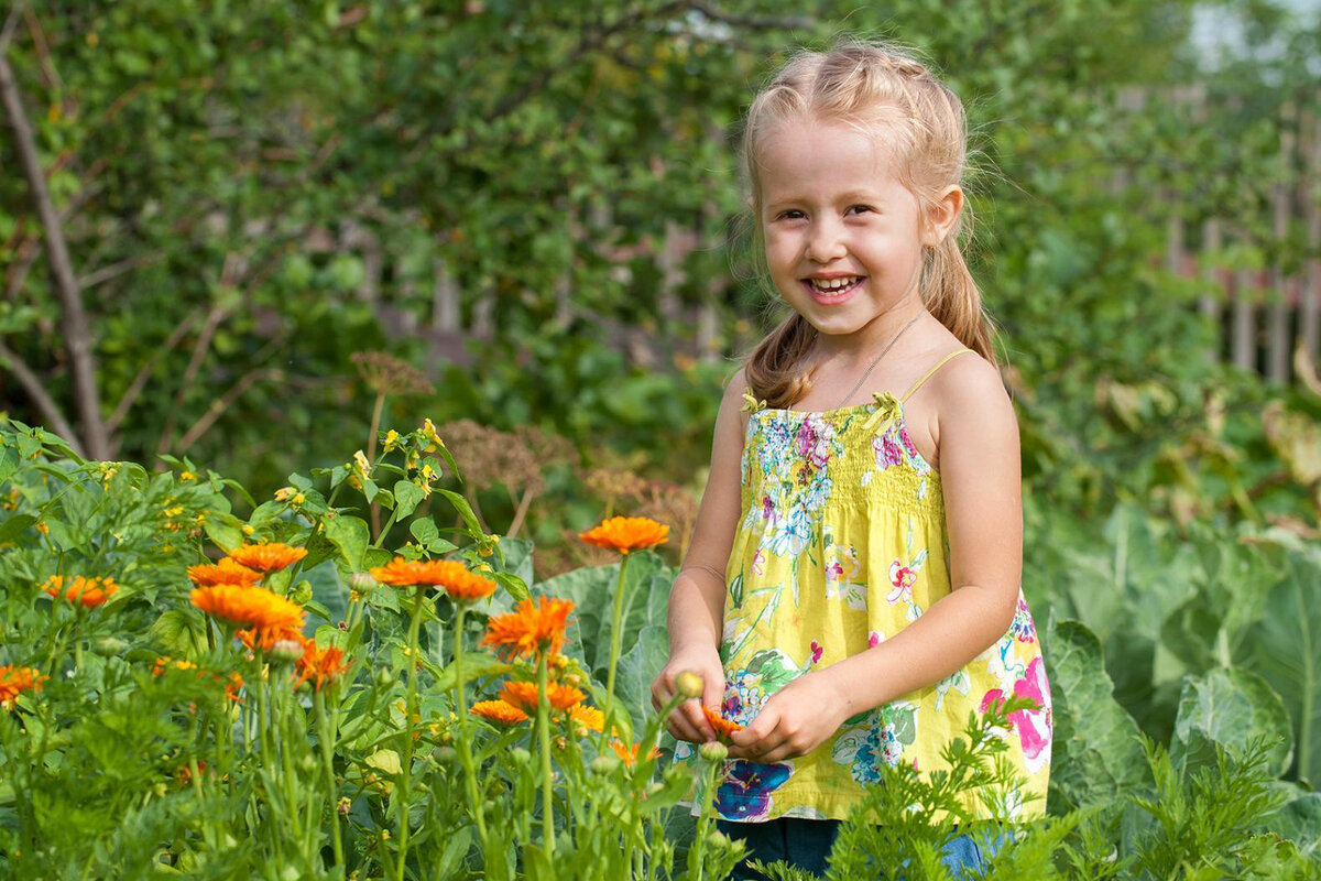 Счастье - оно ведь в мелочах! Как часто мы их замечаем?