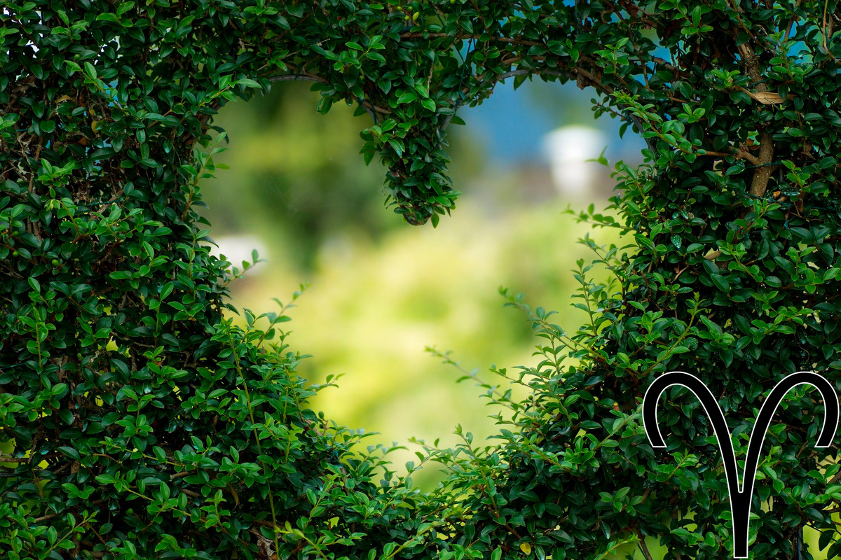 любовный гороскоп овен