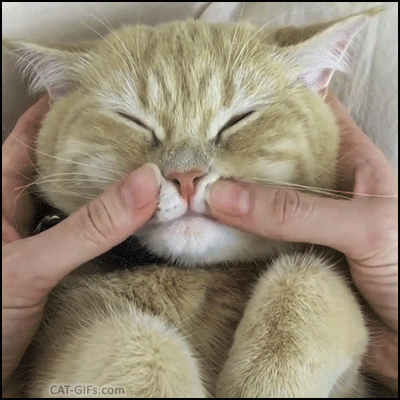 (Источник: Pinterest)