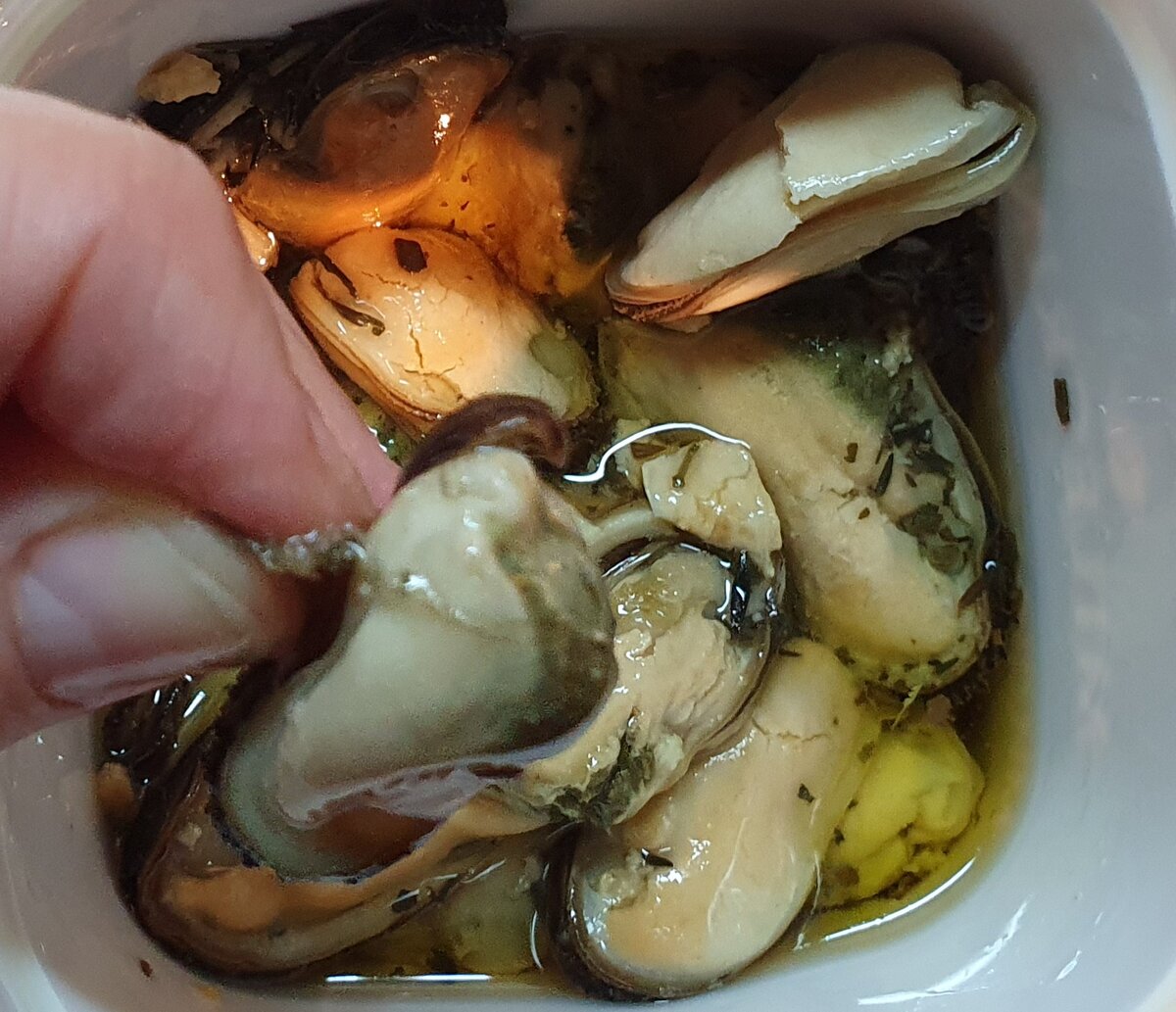 Морские водоросли в мидиях.