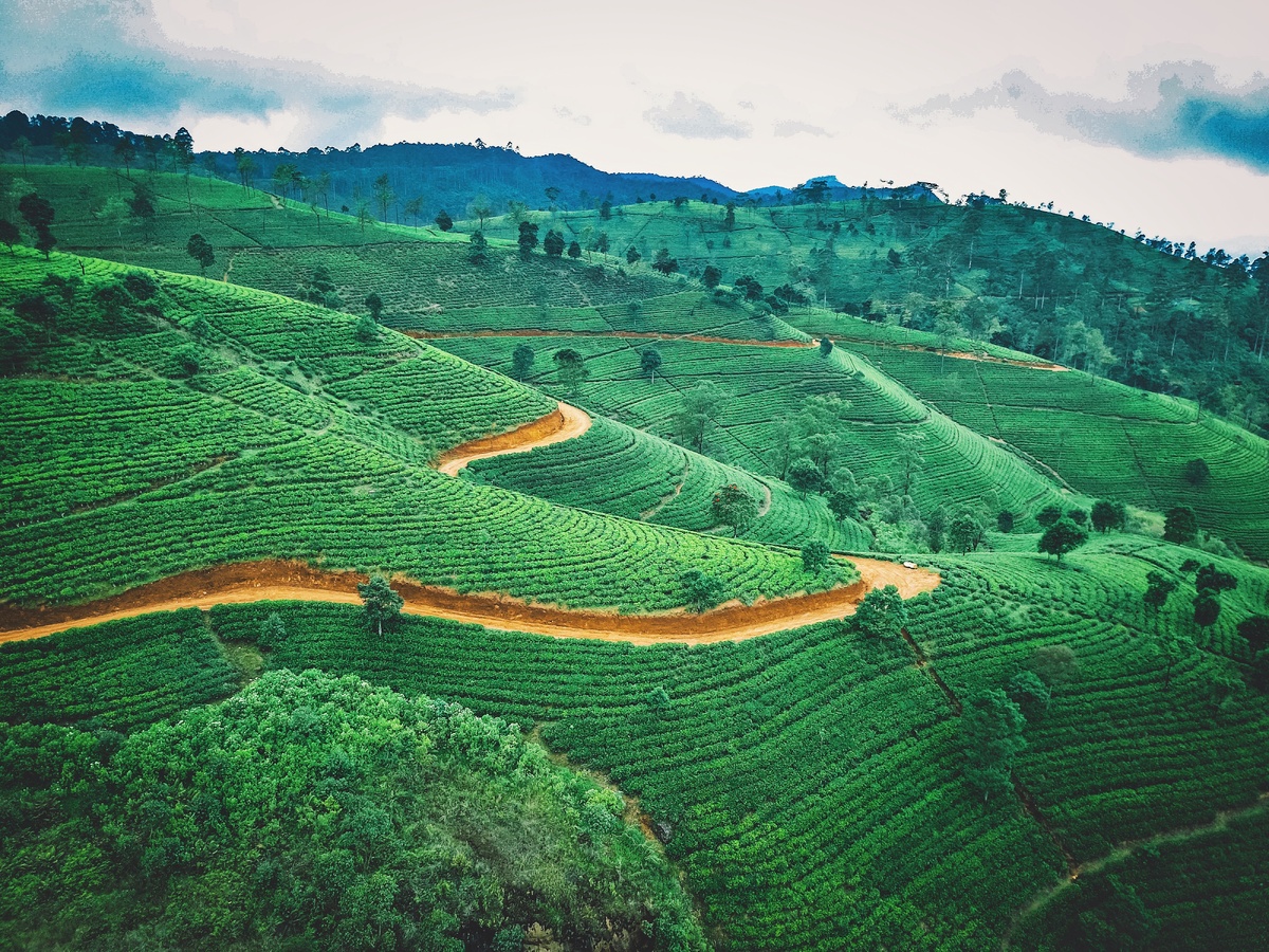 Photo by Jaromír Kavan on Unsplash