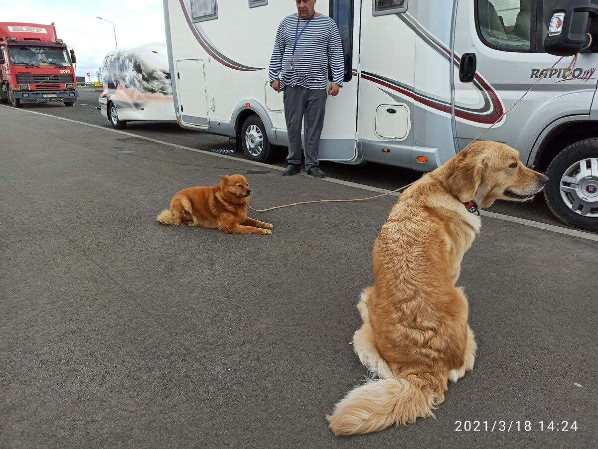 Алиса и Ляля