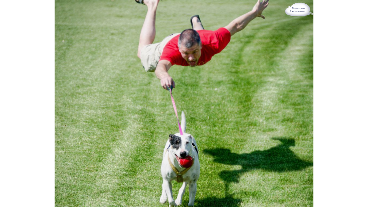 Примерно так и было. Фото из свободных источников интернета Яндекс.картинки