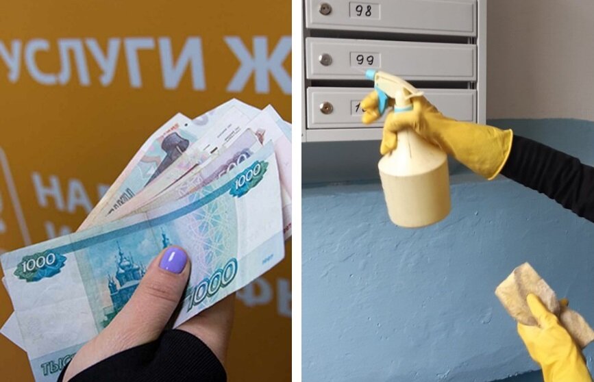 Коллаж: ОСН