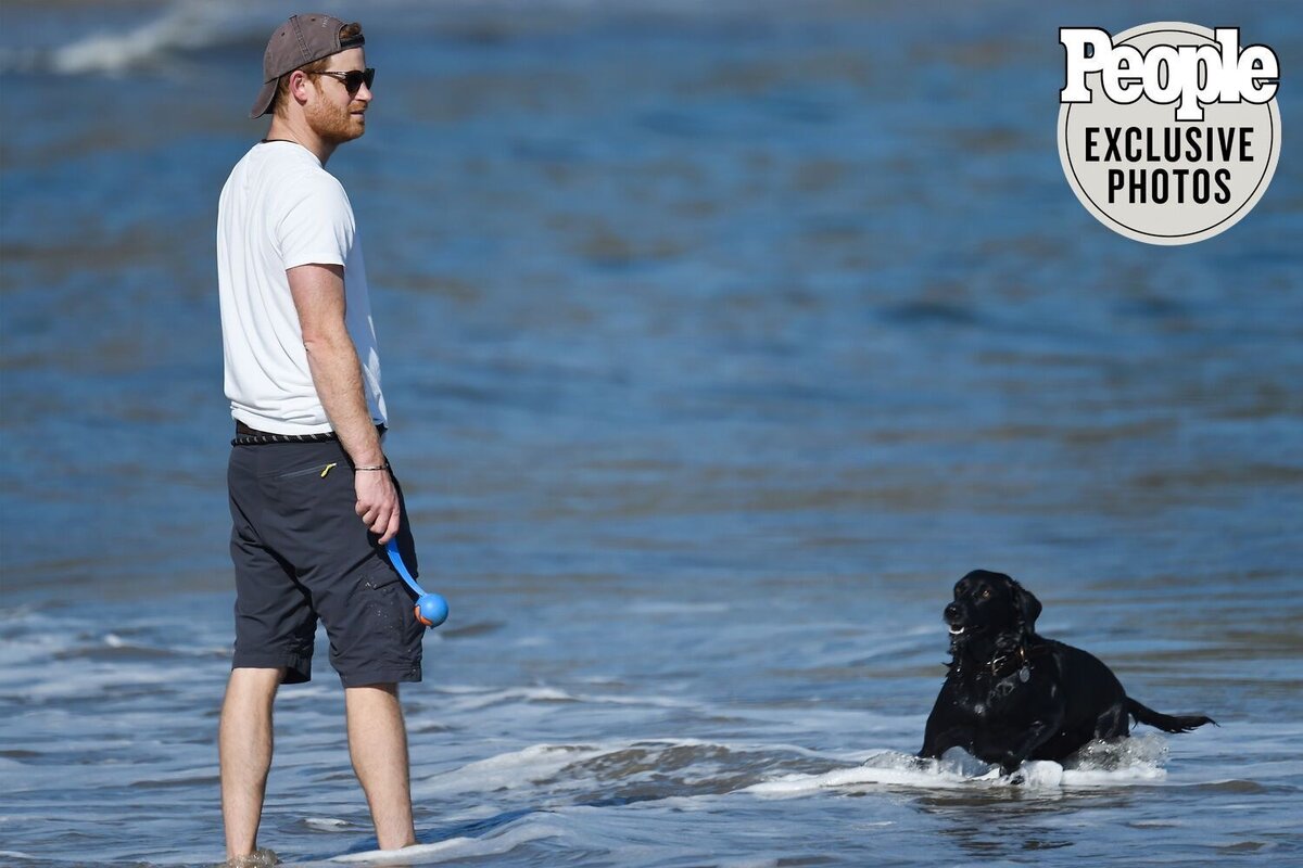 Фото из сети Интернет