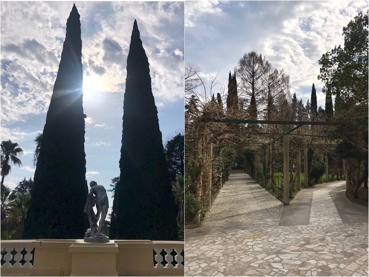 Аллеи Сочинского Дендрария