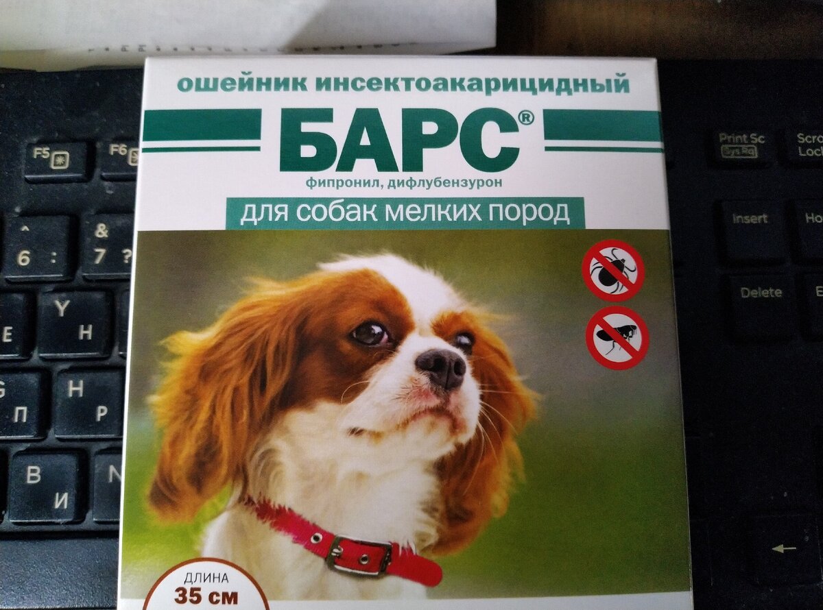 Вот такой купили