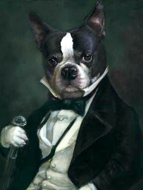 САМЫЕ БОГАТЫЕ СОБАКИ В МИРЕ