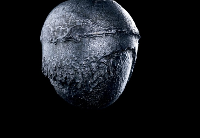 Сихотэ-алинский железный дождь, экземпляр «пуля». Падение: 12 февраля 1947 года. Место падения: Россия, Приморский край. Тип: железный. Октаэдрит. Фото: Андрей Бронников.