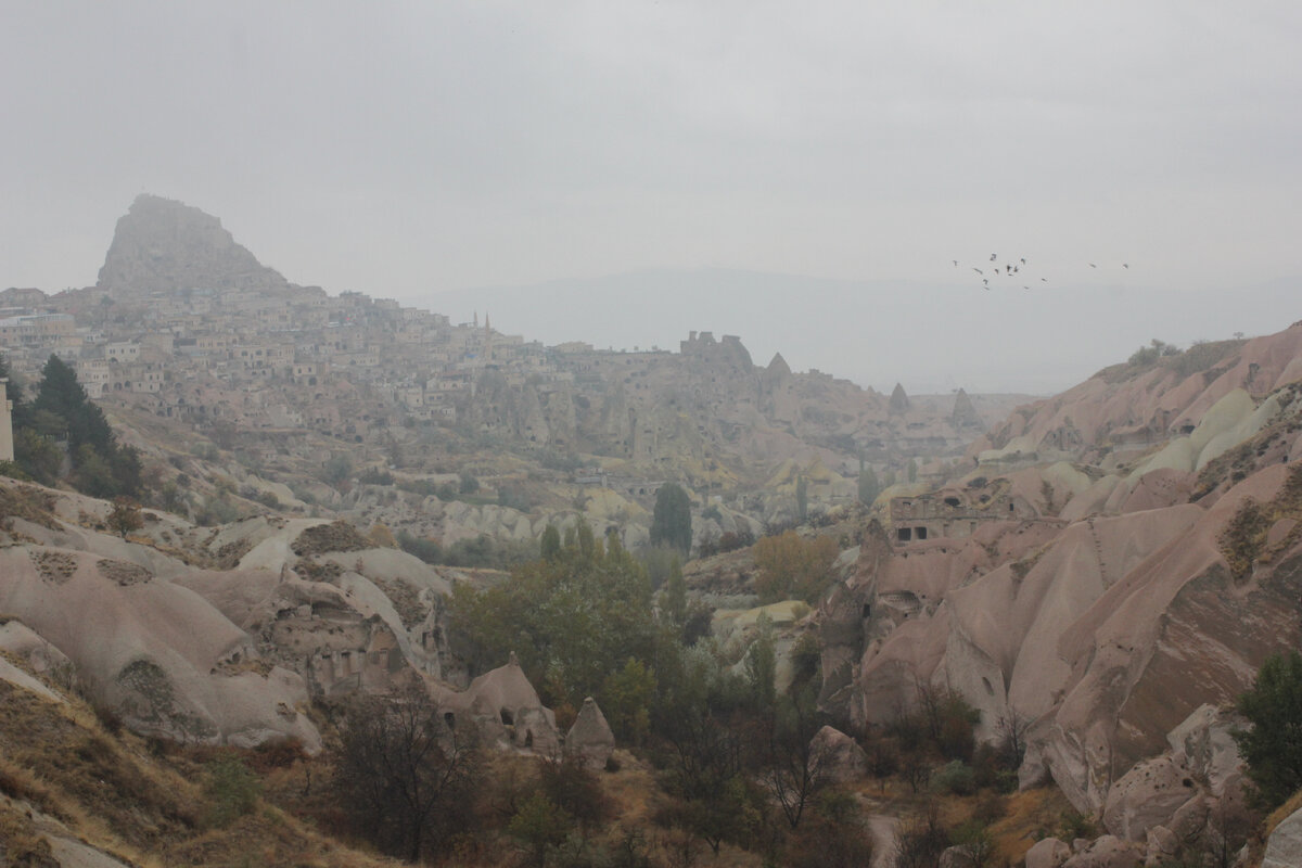 Изображение - собственность автора статьи